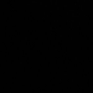 Meet your Posher, Maurice